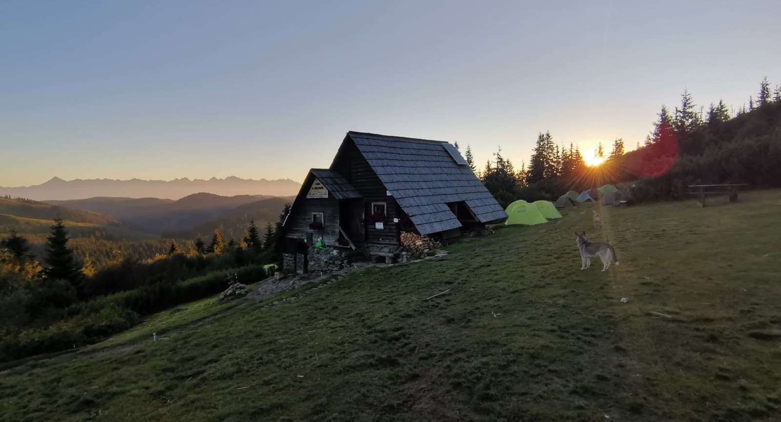 Útulňa za východu slnka, stany a pes na lúke